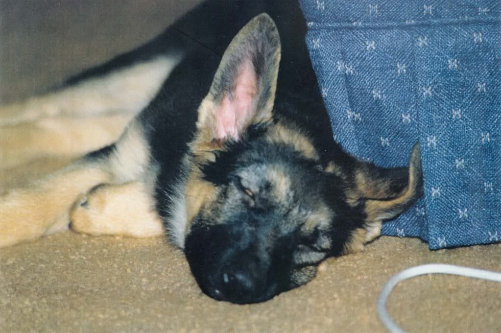 Image003.jpg