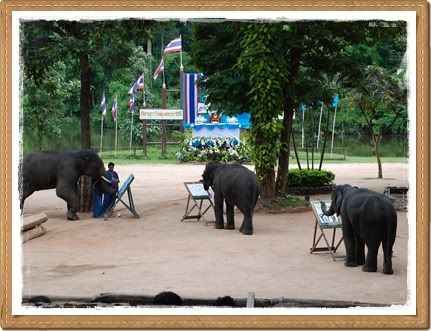 ขี่ช้าง ชมธรรมชาติ