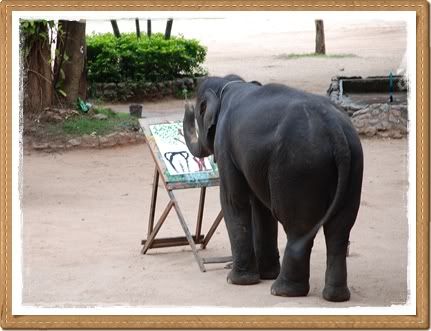ขี่ช้าง ชมธรรมชาติ