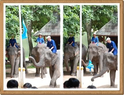 ขี่ช้าง ชมธรรมชาติ