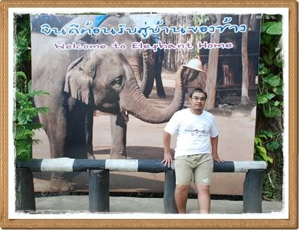 ขี่ช้าง ชมธรรมชาติ