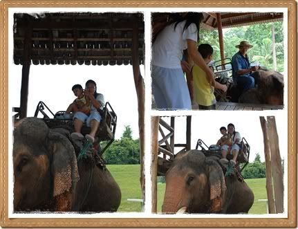 ขี่ช้าง ชมธรรมชาติ