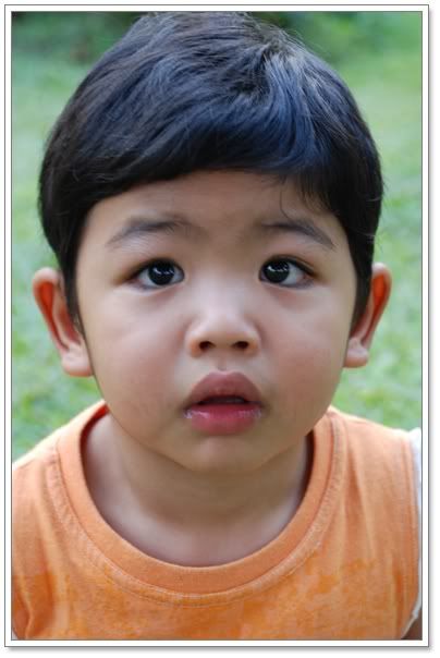 มาแล้วกล้องใหม่ Nikon D80