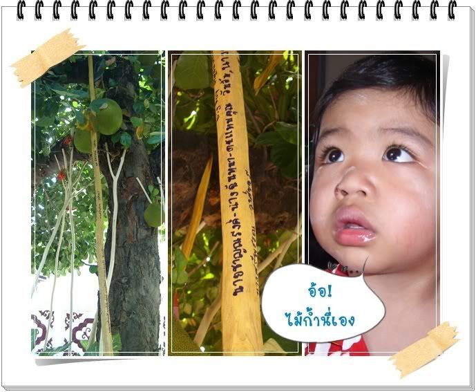 เก็บตกวันสงกรานต์