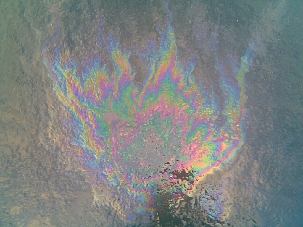 oil spill Pictures, Images and Photos