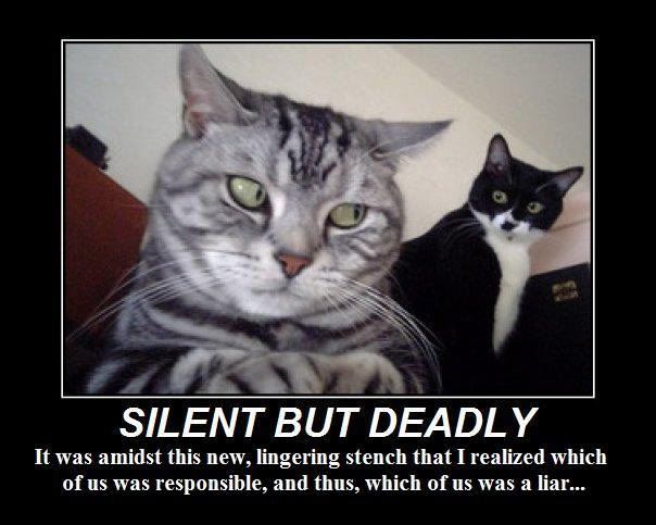 Silentbutdeadlycats.jpg