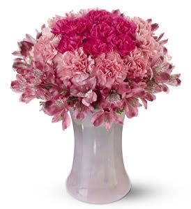 zclavelesrosados.jpg Claveles Rosados image by chichupapeleta