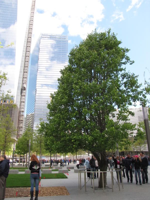 http://i267.photobucket.com/albums/ii283/sandyuspatriot/NYC%202012/NYC53.jpg