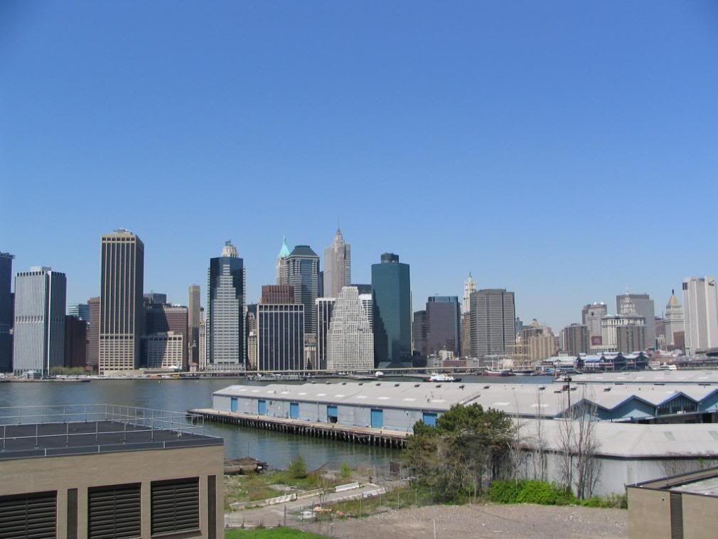 http://i267.photobucket.com/albums/ii283/sandyuspatriot/NYC%20best%20pics/VuesdeBrooklyn3.jpg