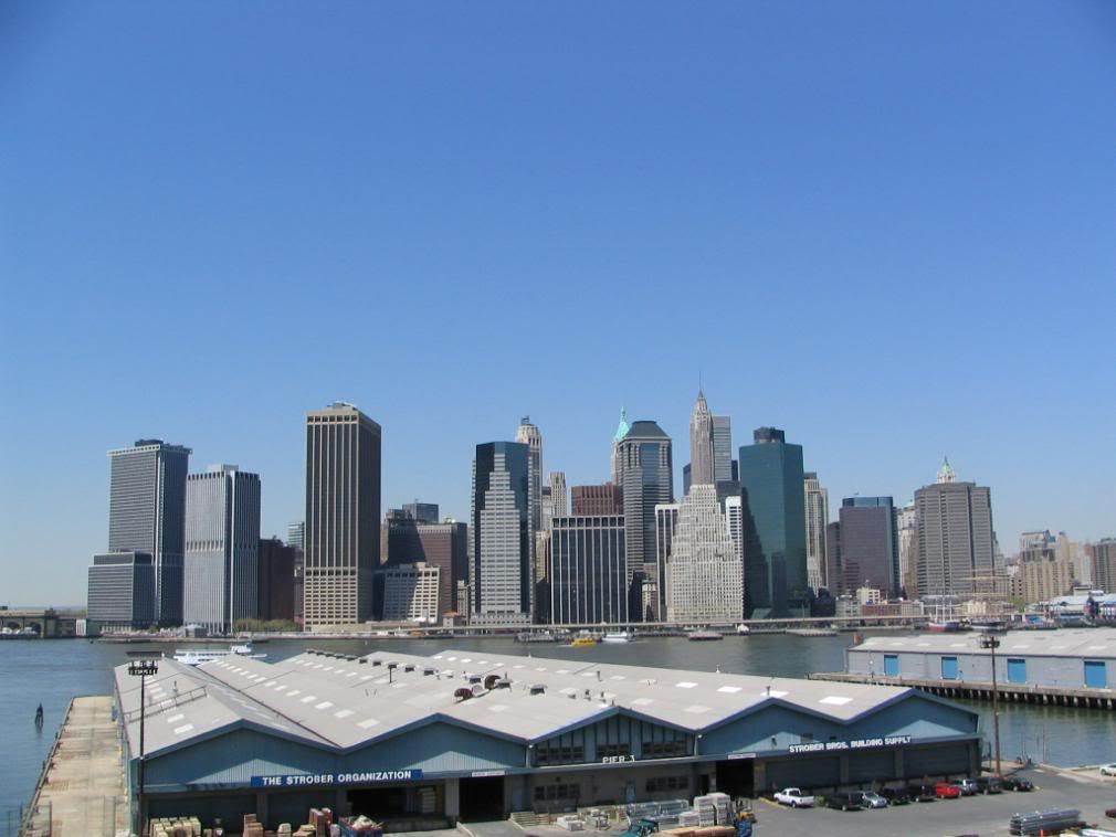 http://i267.photobucket.com/albums/ii283/sandyuspatriot/NYC%20best%20pics/VuesdeBrooklyn9.jpg