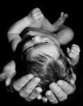 headinhands.jpg newborn baby image by msbear99