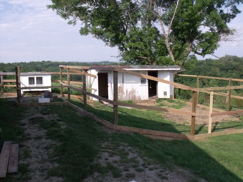 2011_0704cooptrees0005.jpg