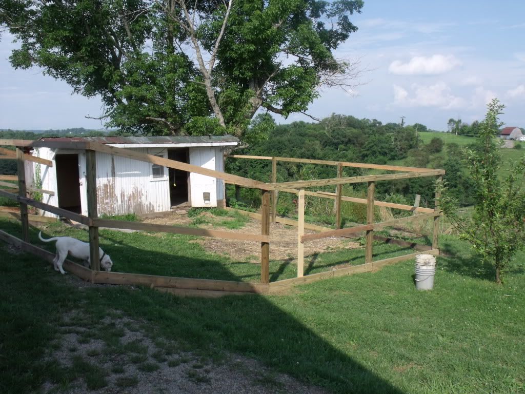 2011_0704cooptrees0007.jpg