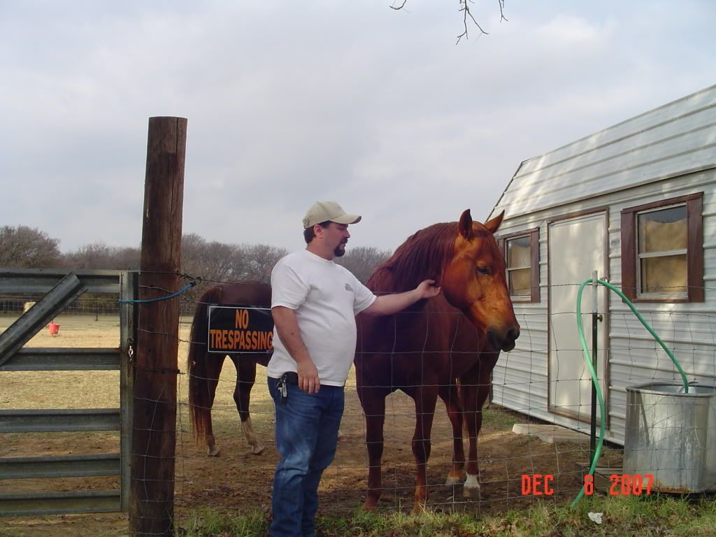 One of my good friends horses