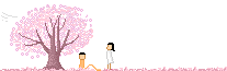 couple under sakura tree Pictures, Images and Photos