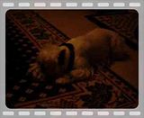 DSCI0006.mp4 video by r-code