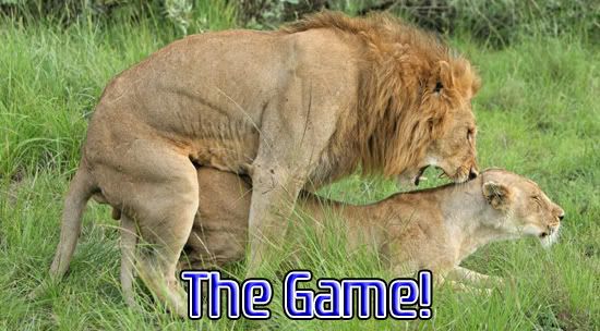 Lionsexgame