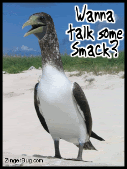 smack_talk_bird1.gif