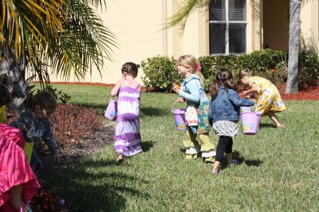  photo IMG_8211_zps1c4cb5b5.jpg