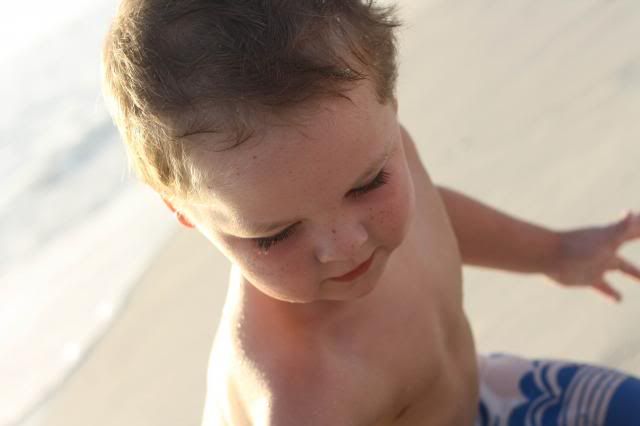  photo IMG_9316_zps89c4d684.jpg