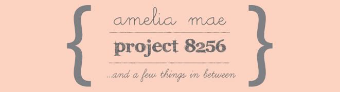 Project 8256