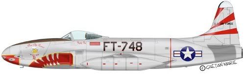 aircraft_f-80_36thfbs.jpg