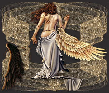 0710260532231468009.gif
