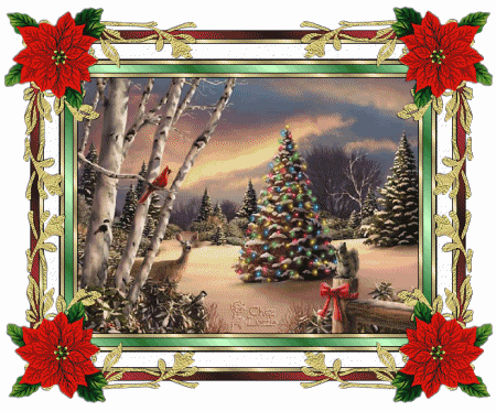 0712081037191775569.gif