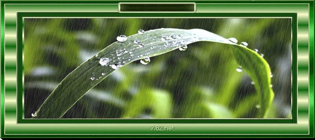 20039111481862298el51ua0.gif