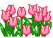 24356ss102uy8t1it5.gif