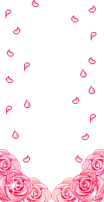 30200066wq0.gif