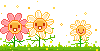 52ze8.gif