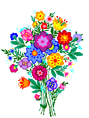 97.gif
