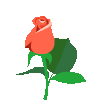 98440rwqi3qz5secq3ch0.gif