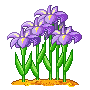 9932f2ca95.gif
