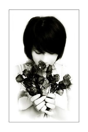 driedrosesbylarafairie4xz.jpg
