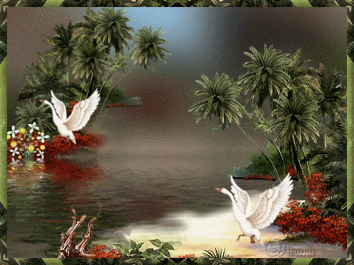graphic261xs3.gif