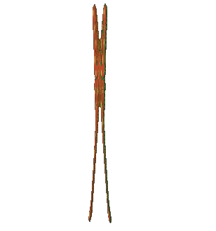 pijabut6tg7.gif