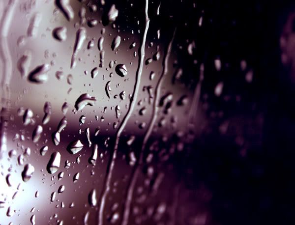 rain1cm4.jpg