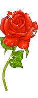 x1pc_jqddVOWRmylZMSjY_KRbim4lr1ox3P.gif