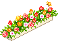 x1pjzF2_RYhxRWtSbRE9koX_c33CqJKN-1.gif
