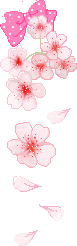 x1pn1mp8dkygteoo8nl7cxhfu1.gif