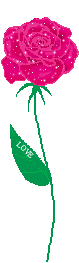 x1pn1mp8dkygteoo8nl7cxhhh2.gif