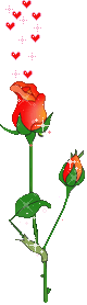 x1pn1mp8dkygteoo8nl7cxhid4.gif