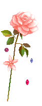 x1pnprgmi5o52jbsqzqgxatxa1.gif