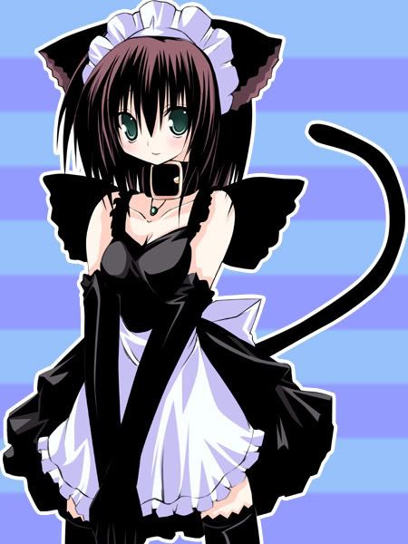 Forum Image: http://i267.photobucket.com/albums/ii295/redfox822/Anime%20girls/Neko-1.jpg