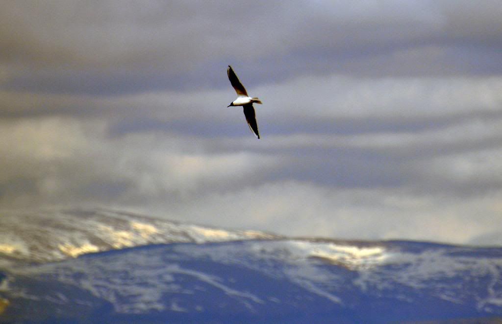 DSC_0013_edited.jpg