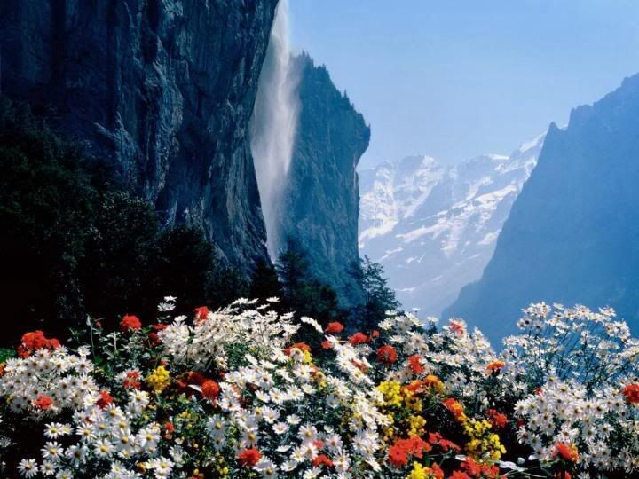 mountains.jpg Flowers beneath the mountain image by Lee46978