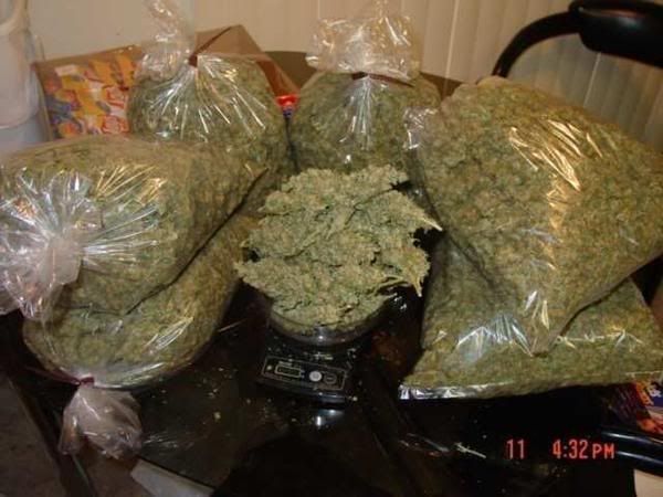 Weed Kilo