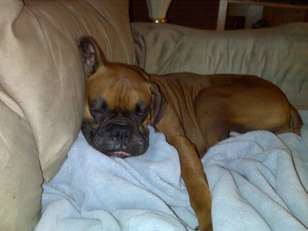 IMG00029.jpg Sleepy girl image by millera28